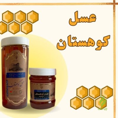 عسل کوهستان دکتر خیراندیش